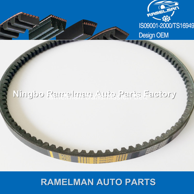 ramelman brand auto parts original quality fan belt poly v belt for car
