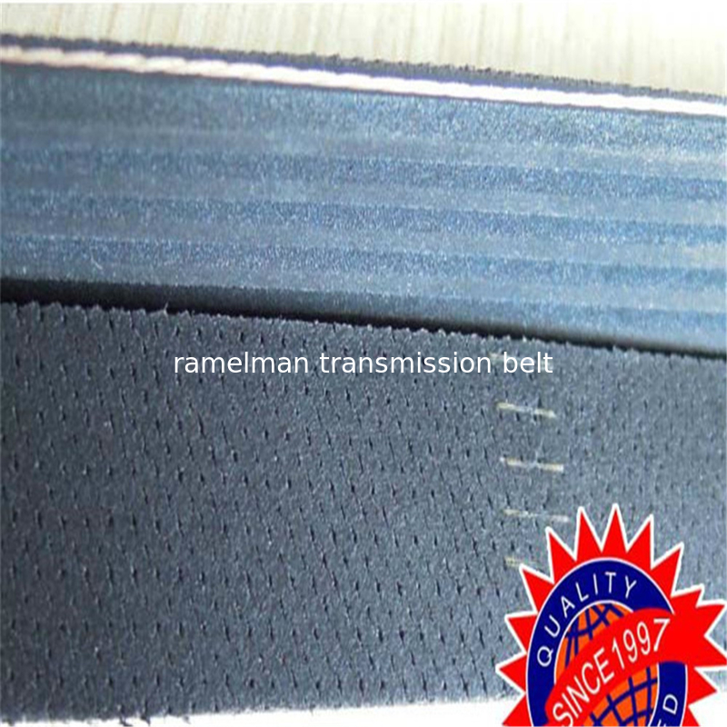 Multi rib belt oem 9091602546/2521237162/7788011/6K1690 power transmission belt  poly vee belt ramelman auto spare parts