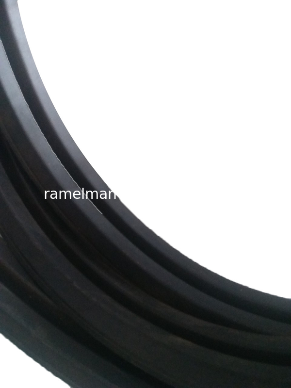 Timing belt Auto v belt  OEM AVX10X1005/6112414/9832114/90231797/575020 cogged v belt fan belt Ramelman v belt