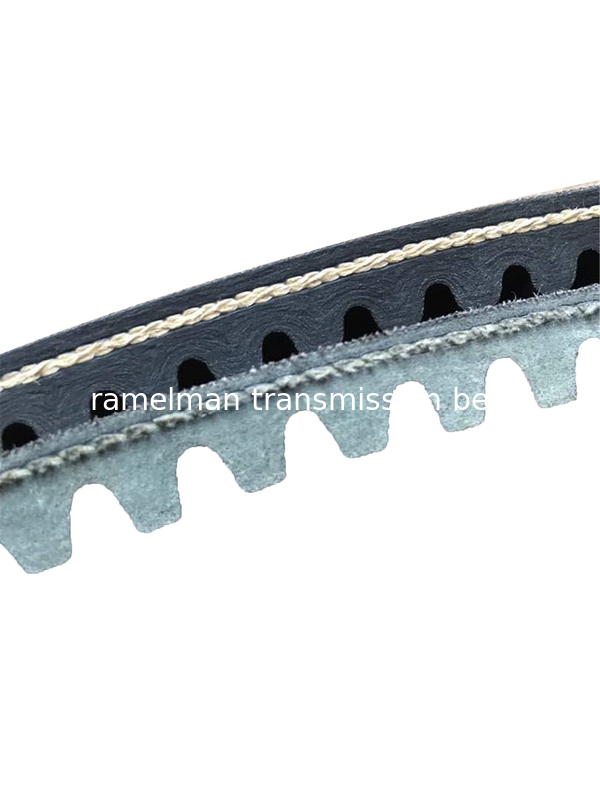 Timing belt Auto v belt  OEM AVX10X1005/6112414/9832114/90231797/575020 cogged v belt fan belt Ramelman v belt